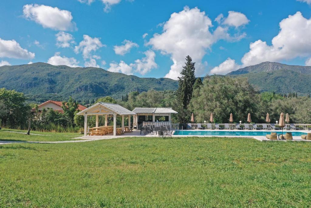 Lush green garden paths